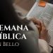 semana bib.jpg